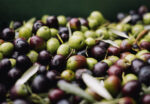 Organic - Image 5