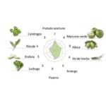 Cornicabra - Imagen 2