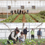 Tour Completo de la Finca Hualdo - Imagen 14