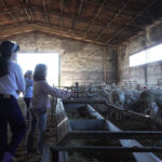 Tour Completo de la Finca Hualdo - Imagen 9