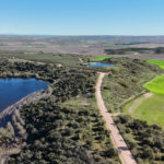 Cata AOVE en Casas De Hualdo - Imagen 4
