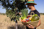 Cesta de frutas y verduras de regalo - Imagen 4