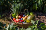 Cesta de frutas y verduras de regalo - Imagen 2
