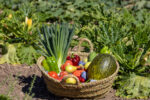 Cesta de frutas y verduras de regalo - Imagen 3