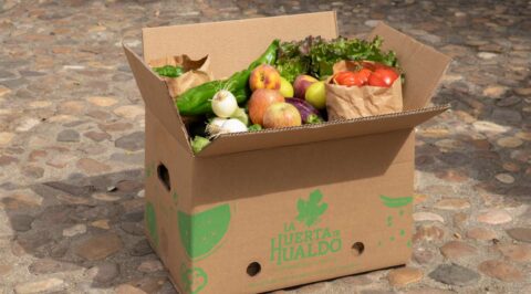 frutas y verduras de temporada